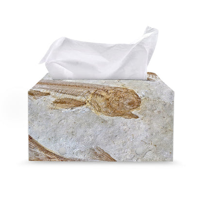 Lycoptera Fish Fossil Print Leather Tissue Box Cover