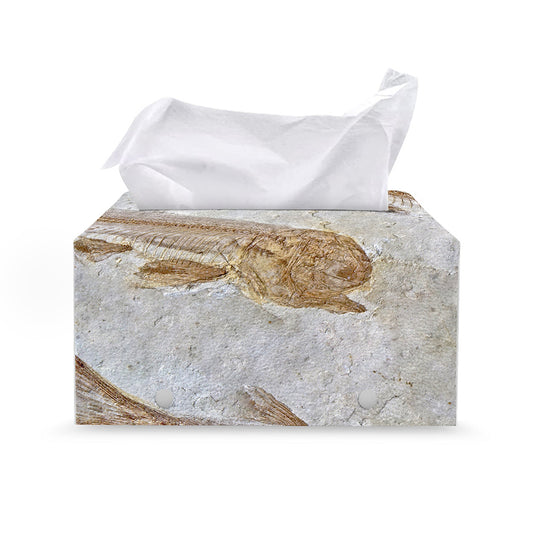 Lycoptera Fish Fossil Print Leather Tissue Box Cover