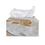 Lycoptera Fish Fossil Print Leather Tissue Box Cover