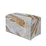 Lycoptera Fish Fossil Print Leather Tissue Box Cover