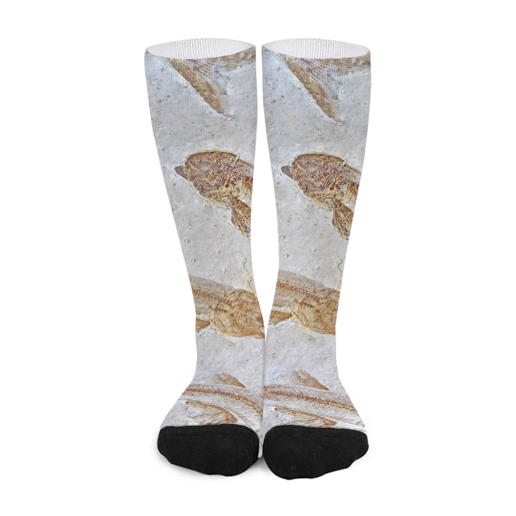 Lycoptera Fish Fossil Print Long Socks