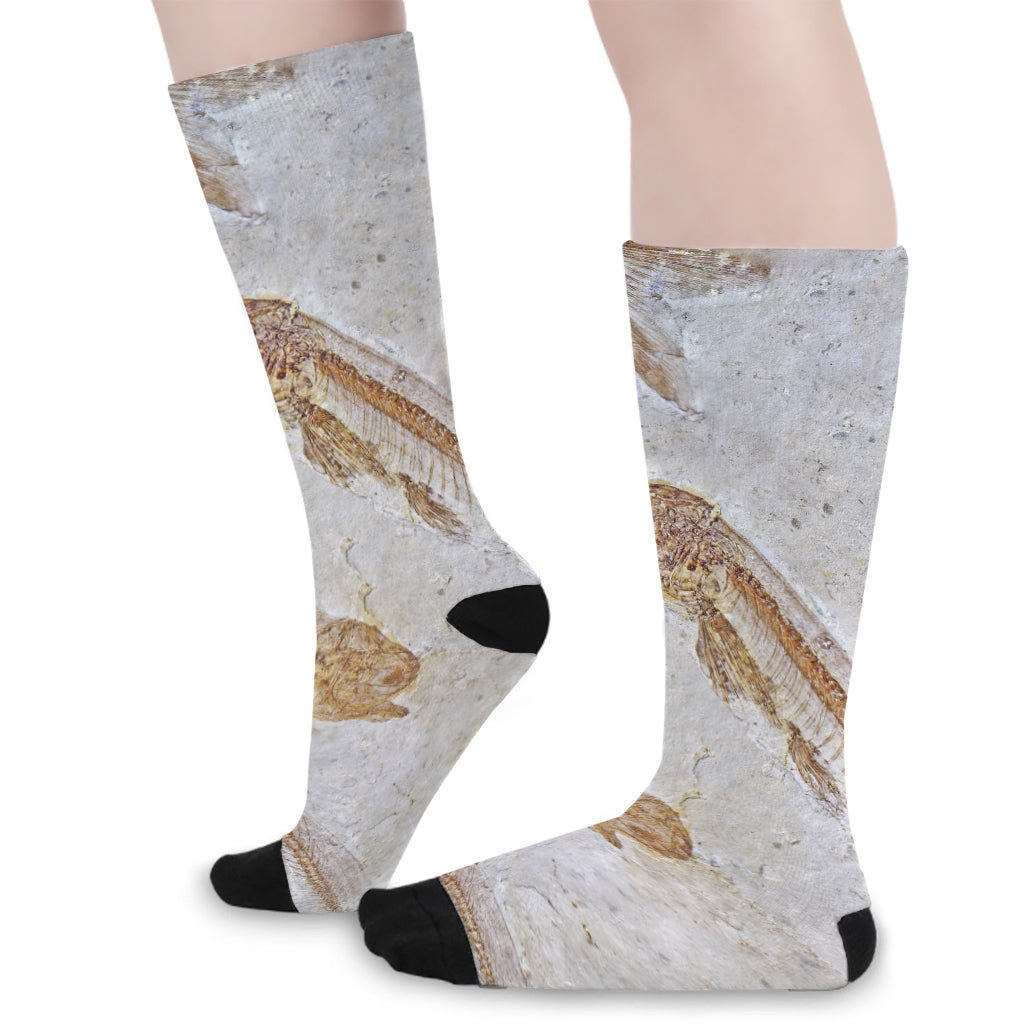 Lycoptera Fish Fossil Print Long Socks