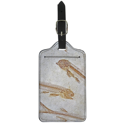 Lycoptera Fish Fossil Print Luggage Tag