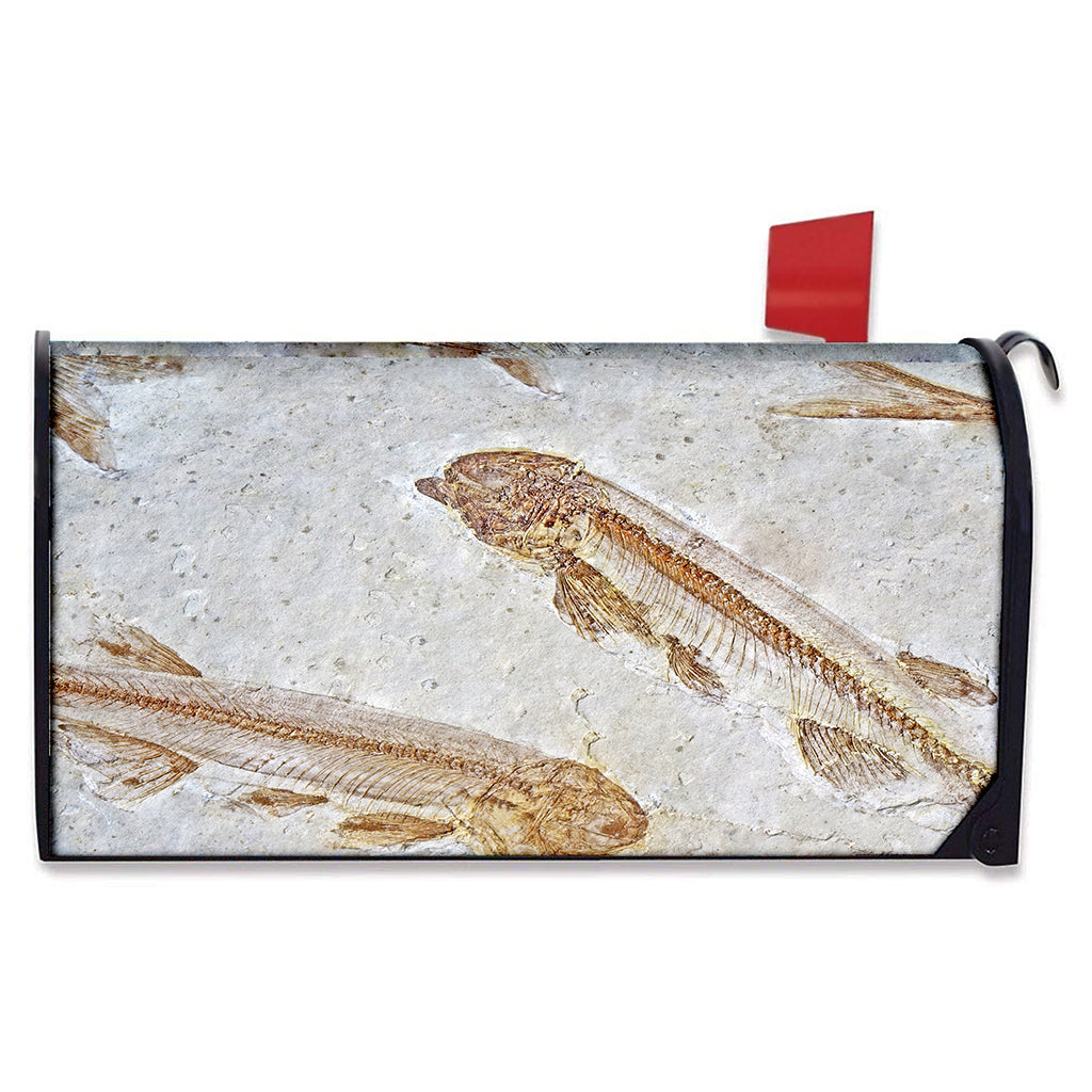 Lycoptera Fish Fossil Print Mailbox Cover