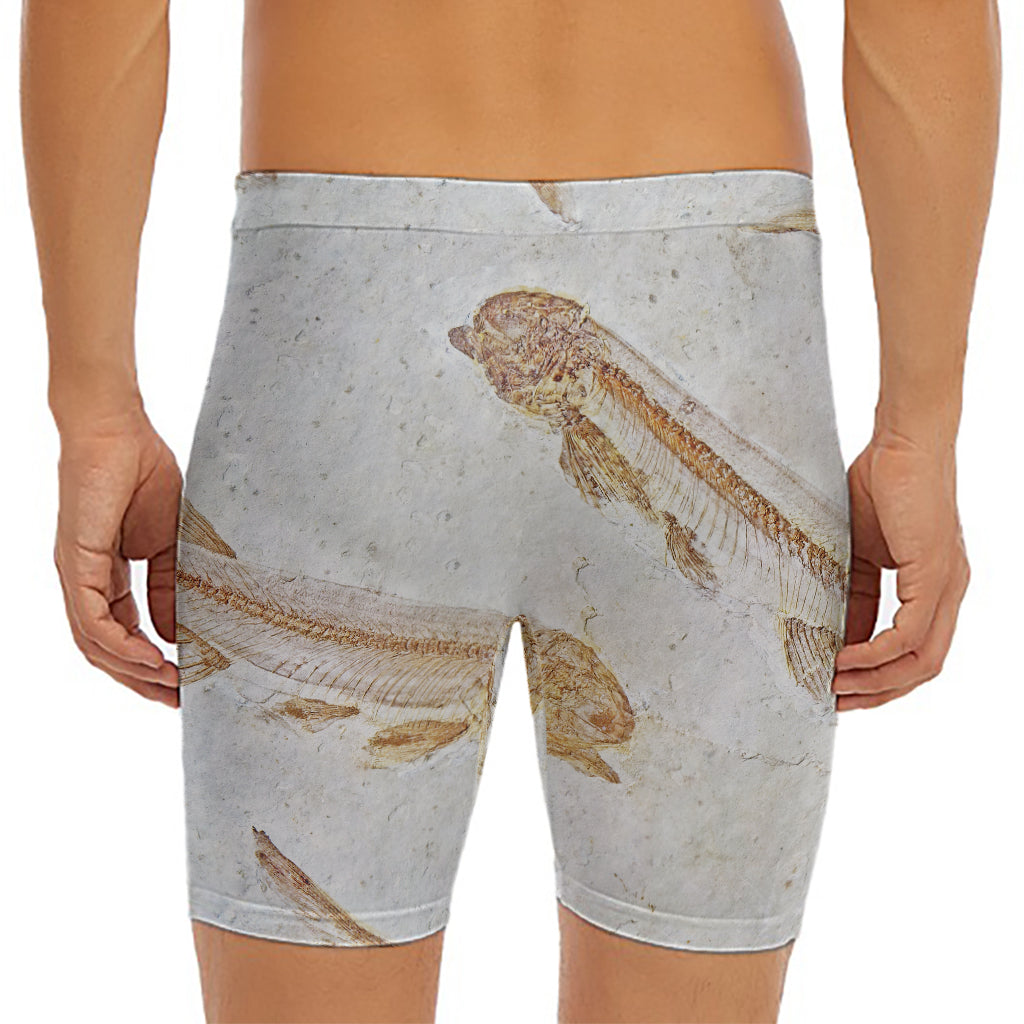 Lycoptera Fish Fossil Print Men's Long Boxer Briefs