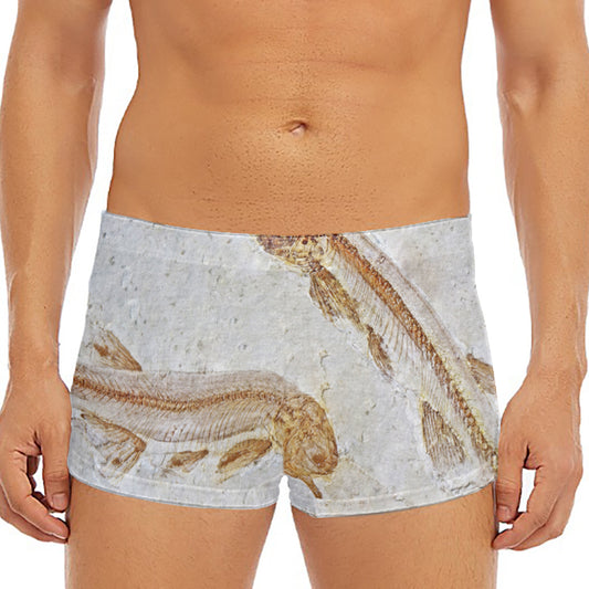 Lycoptera Fish Fossil Print Men's Short Boxer Briefs
