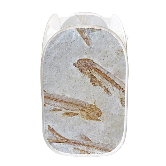 Lycoptera Fish Fossil Print Mesh Laundry Hamper