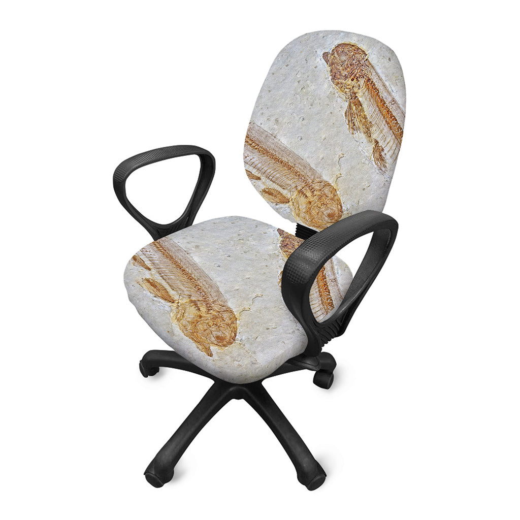 Lycoptera Fish Fossil Print Office Chair Cover