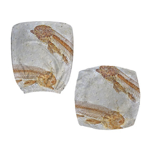 Lycoptera Fish Fossil Print Office Chair Cover