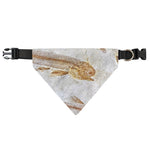Lycoptera Fish Fossil Print Over The Collar Dog Bandana