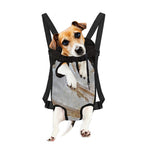 Lycoptera Fish Fossil Print Pet Carrier Backpack