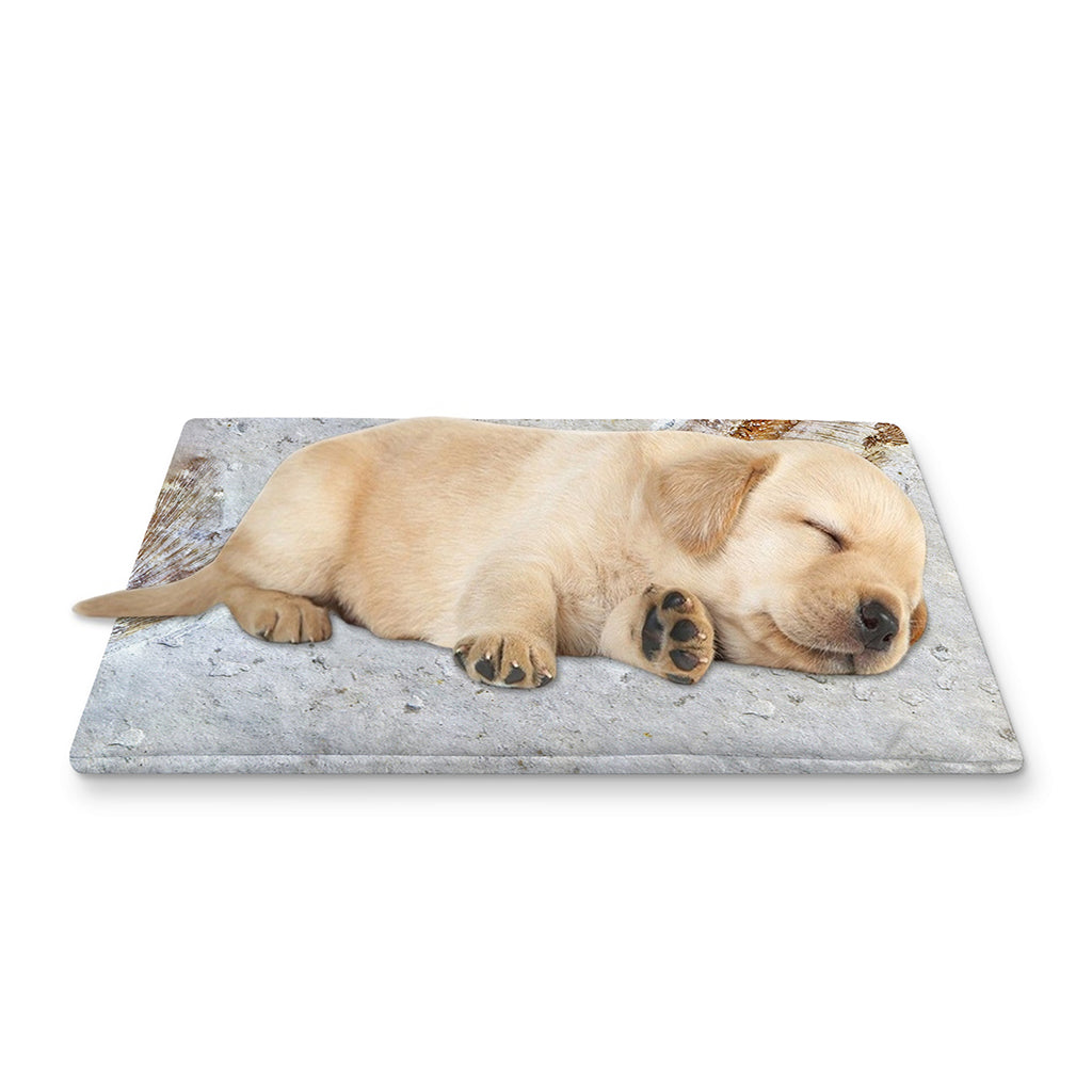Lycoptera Fish Fossil Print Pet Cooling Mat Cover