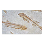 Lycoptera Fish Fossil Print Polyester Doormat