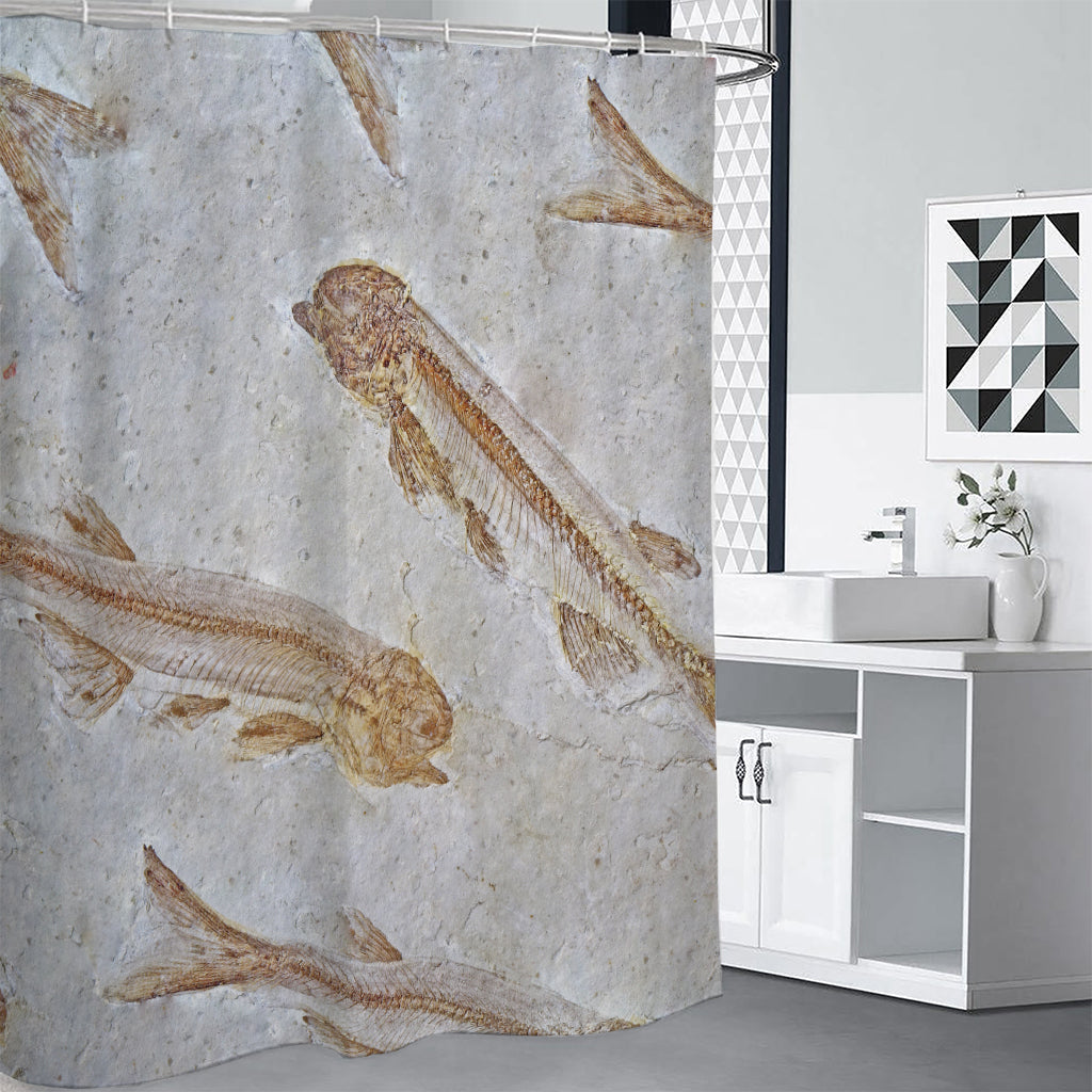 Lycoptera Fish Fossil Print Premium Shower Curtain