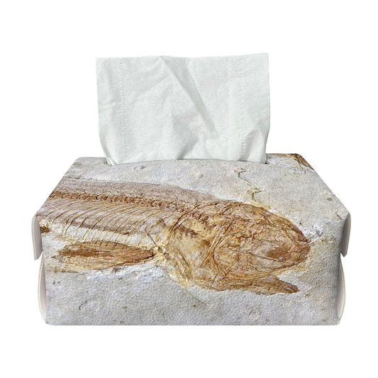 Lycoptera Fish Fossil Print Rectangle Tissue Box Cover
