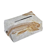 Lycoptera Fish Fossil Print Rectangle Tissue Box Cover