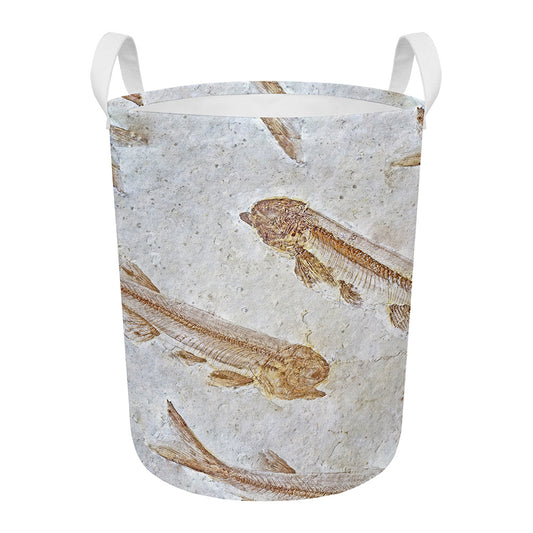 Lycoptera Fish Fossil Print Round Laundry Basket
