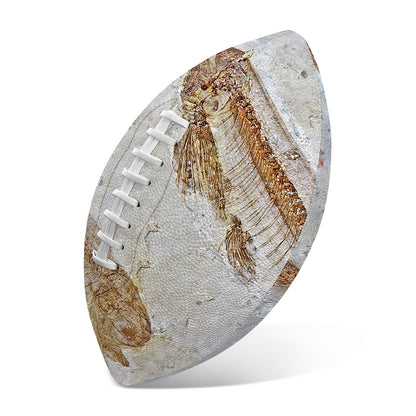 Lycoptera Fish Fossil Print Rugby Ball