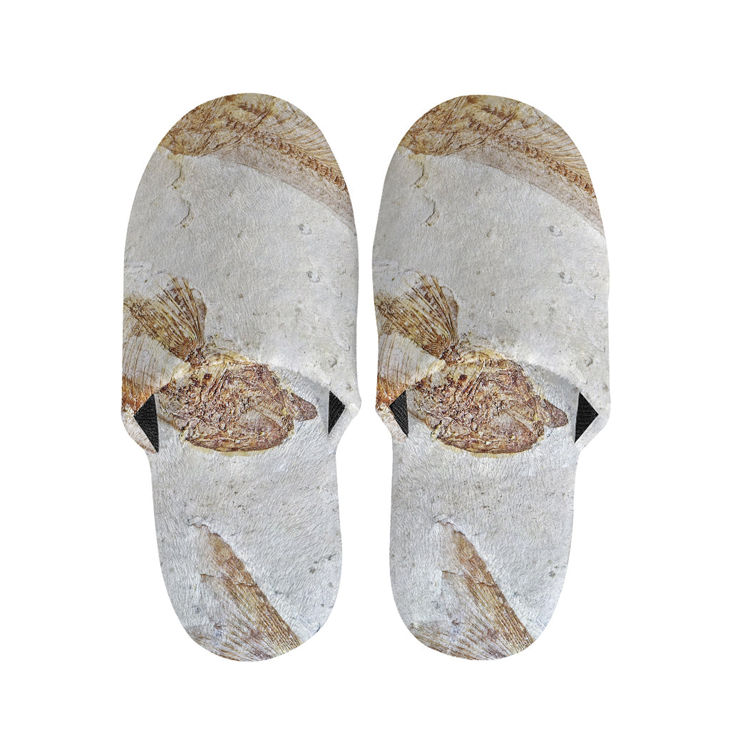 Lycoptera Fish Fossil Print Slippers