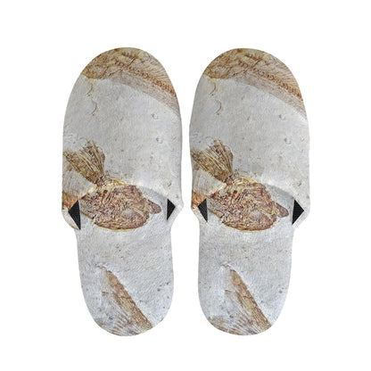 Lycoptera Fish Fossil Print Slippers