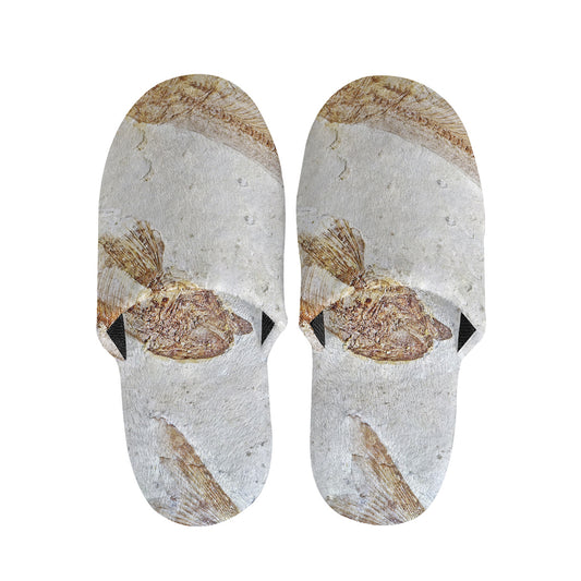 Lycoptera Fish Fossil Print Slippers