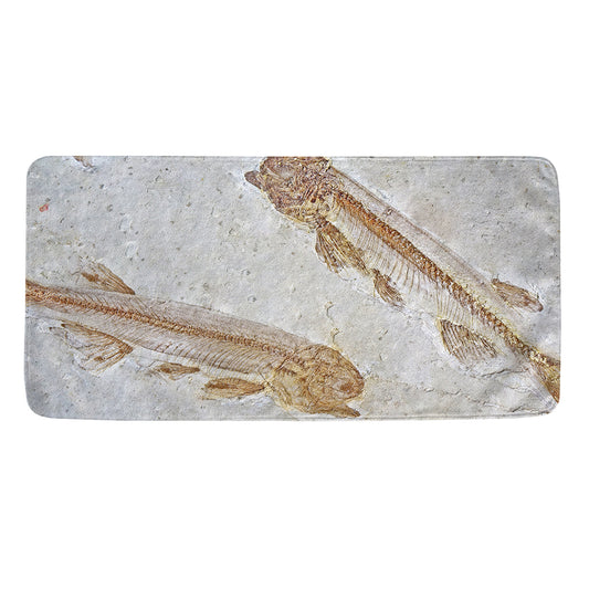Lycoptera Fish Fossil Print Towel