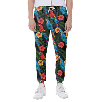Macaw Parrot Pattern Print Scuba Joggers