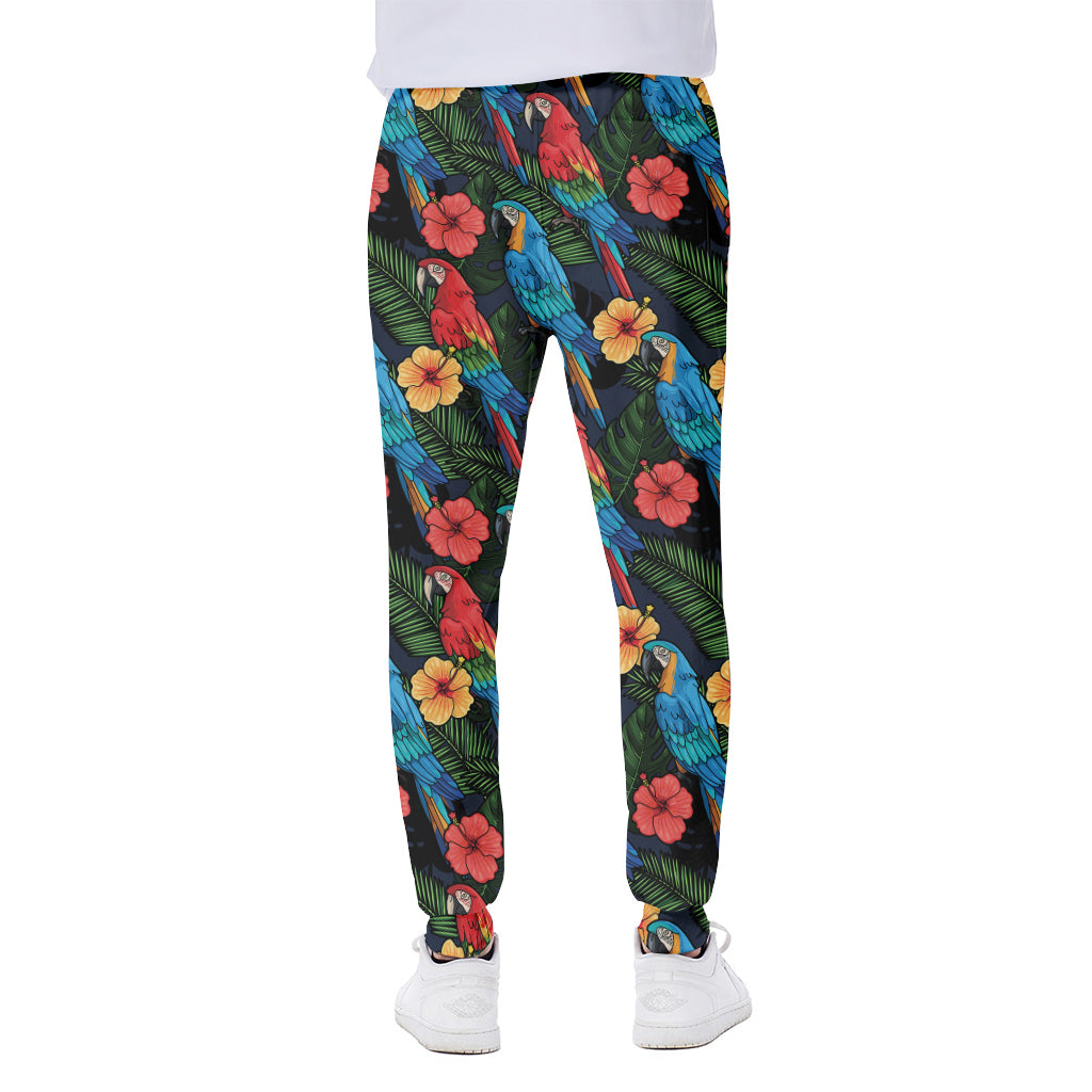 Macaw Parrot Pattern Print Scuba Joggers