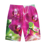 Magenta Orchid Flower Print Cotton Shorts