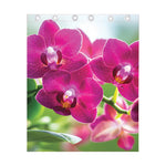 Magenta Orchid Flower Print Curtain