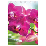 Magenta Orchid Flower Print Curtain