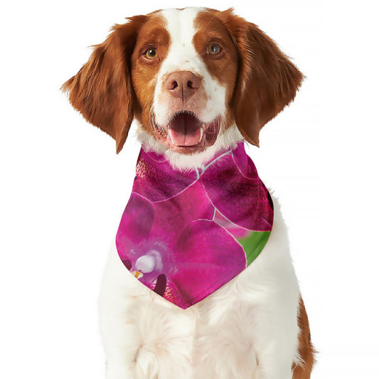Magenta Orchid Flower Print Dog Bandana