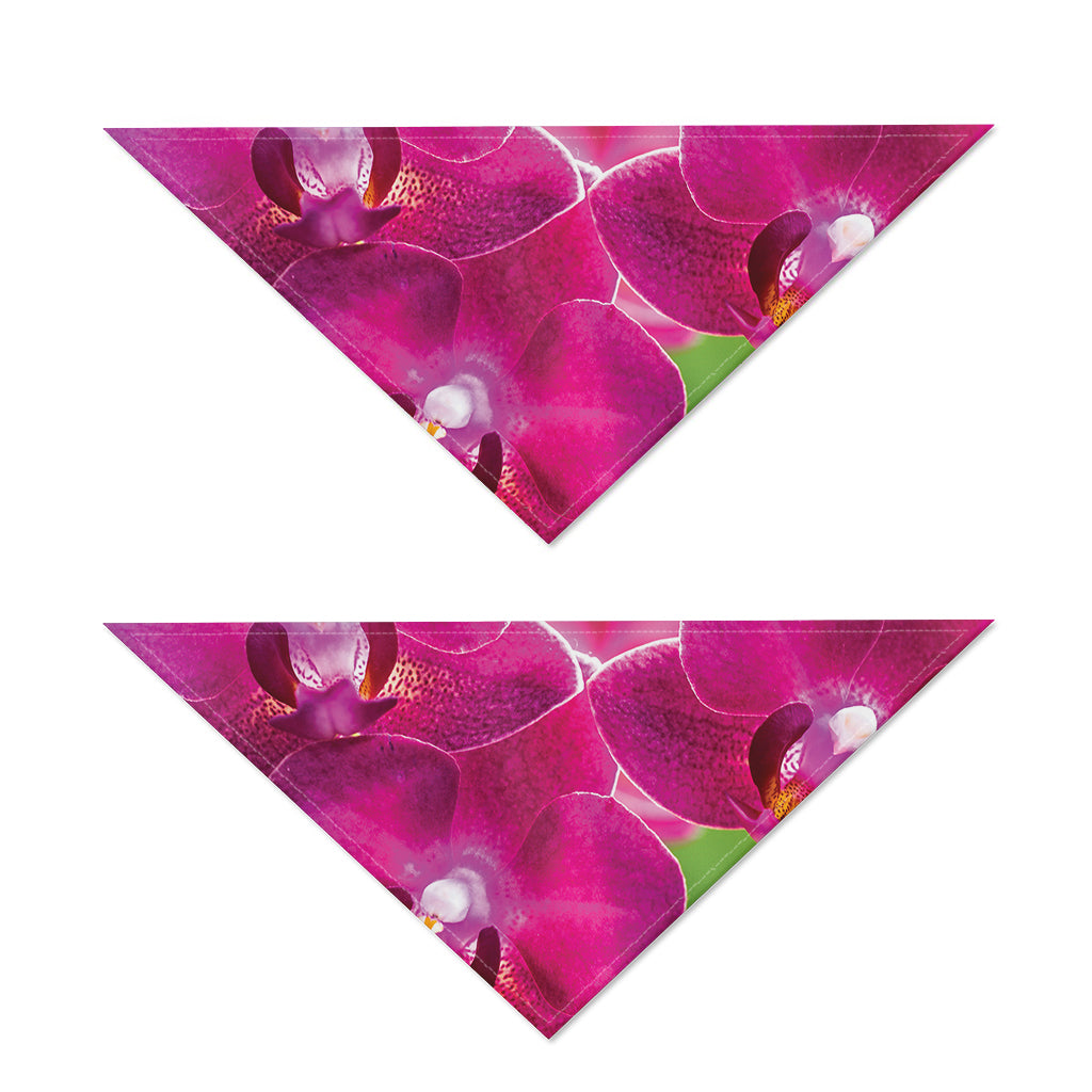 Magenta Orchid Flower Print Dog Bandana