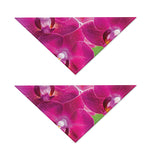 Magenta Orchid Flower Print Dog Bandana