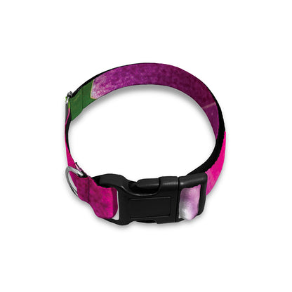 Magenta Orchid Flower Print Dog Collar