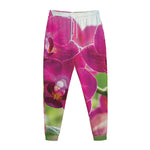 Magenta Orchid Flower Print Jogger Pants