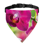 Magenta Orchid Flower Print Over The Collar Dog Bandana