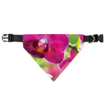 Magenta Orchid Flower Print Over The Collar Dog Bandana