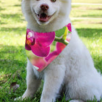 Magenta Orchid Flower Print Over The Collar Dog Bandana