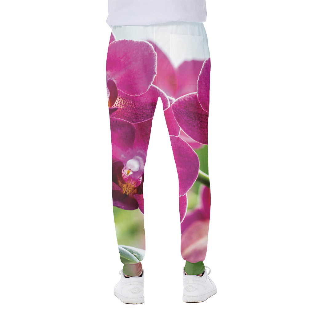 Magenta Orchid Flower Print Scuba Joggers