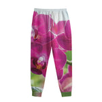 Magenta Orchid Flower Print Sweatpants