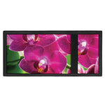 Magenta Orchid Flower Print Trifold Wallet