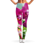 Magenta Orchid Flower Print Women's Leggings
