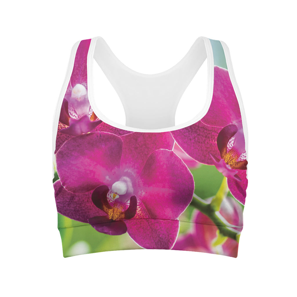 Magenta Orchid Flower Print Women's Sports Bra