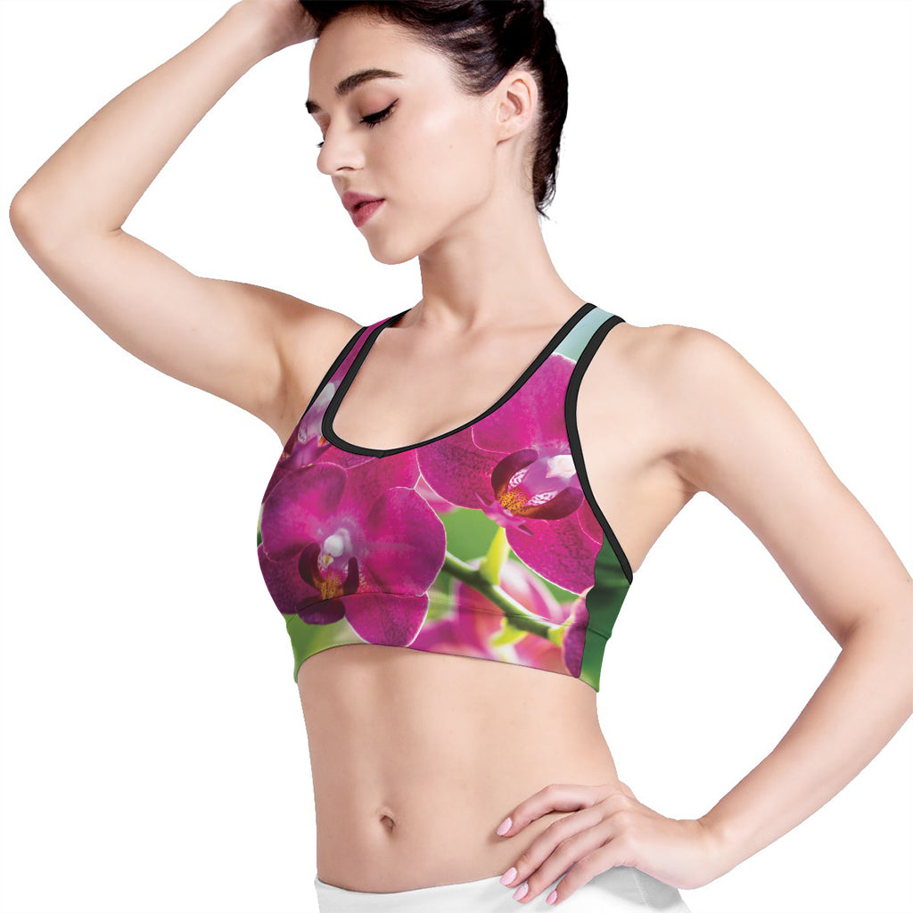 Magenta Orchid Flower Print Women's Sports Bra