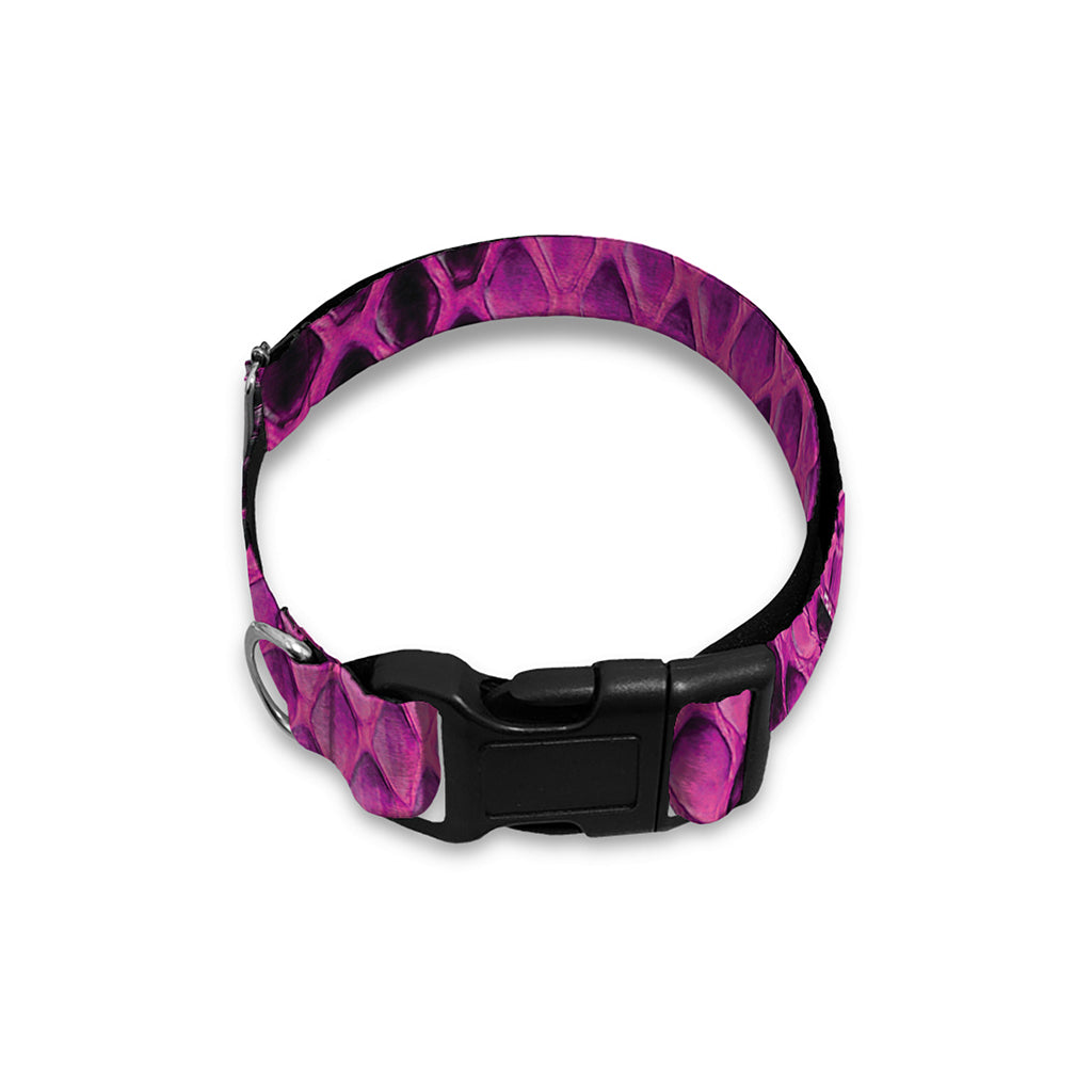 Magenta Pink And Black Snakeskin Print Dog Collar
