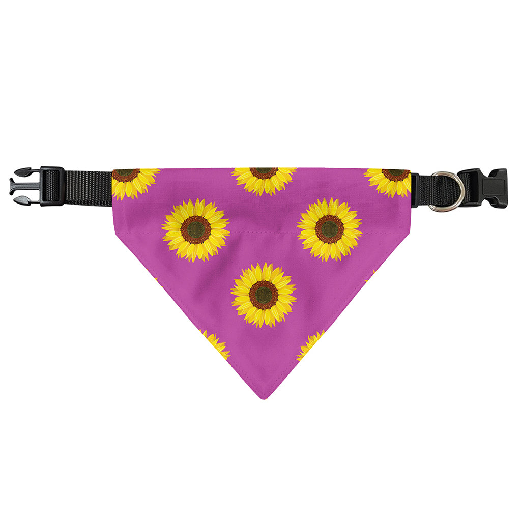 Magenta Pink Sunflower Pattern Print Over The Collar Dog Bandana
