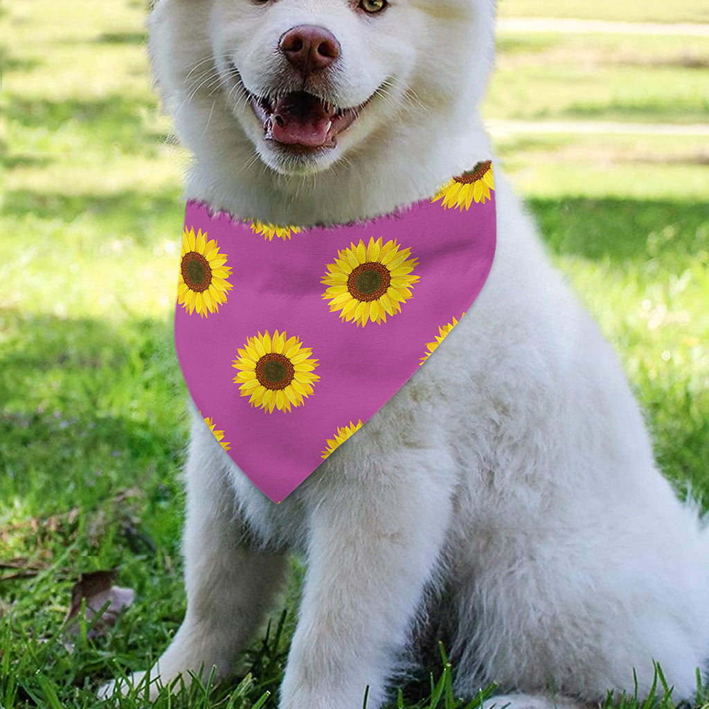 Magenta Pink Sunflower Pattern Print Over The Collar Dog Bandana
