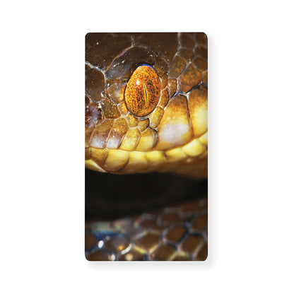 Malagasy Cat Eyed Snake Print Baby Crib Sheet