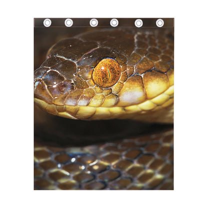 Malagasy Cat Eyed Snake Print Curtain